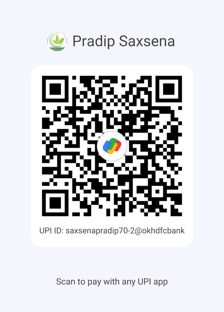 UPI QR Code